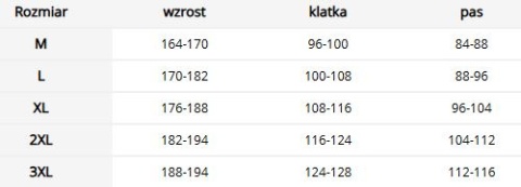 Kurtka ochronna męska Softshell – Wiatroodporna i oddychająca REIS