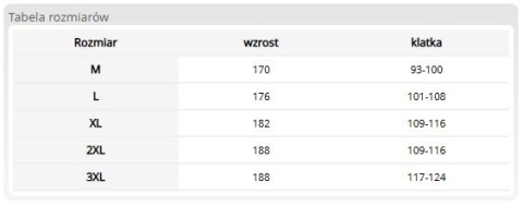 Bluza Trudnopalna Antyelektrostatyczna – Ochrona Spawacza, Norma EN ISO 11612 REIS