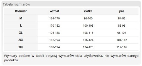 Pikowany Bezrękawnik Męski Ocieplany Regular Fit | Stójka, Kieszenie na Suwak | Lekki, Ciepły | BHP REIS