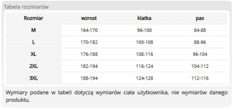 Bluza Ochronna Męska Ocieplana 370g | Kaptur, Odblaski | Pikowane Wstawki | REGULAR REIS