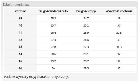 Buty Filcowe Ocieplane OB E CI SRA | PCV, Włóknina Termiczna | Antypoślizgowe, Wodoodporne | Na Zimę REIS
