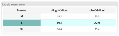 Rękawice Sportowe Bez Palców, z Lycry i Amary, na Siłownię i Rower REIS