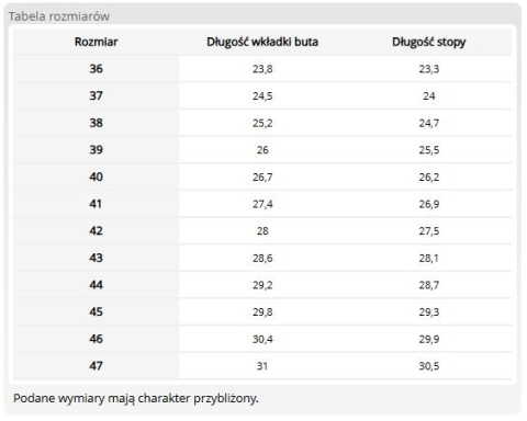 Klapki Męskie Zawodowe | Skóra Naturalna | Profil Ortopedyczny | EN 20347
